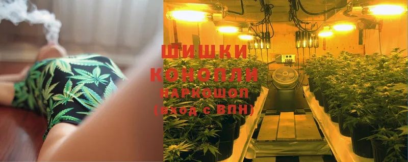 Каннабис Bruce Banner  Козьмодемьянск 